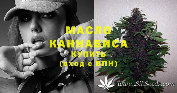 прущие грибы Каменногорск