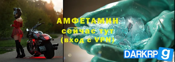 прущие грибы Каменногорск