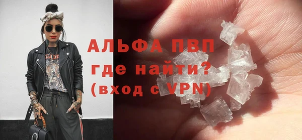прущие грибы Каменногорск