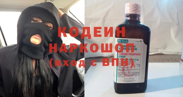прущие грибы Каменногорск