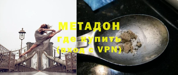 прущие грибы Каменногорск