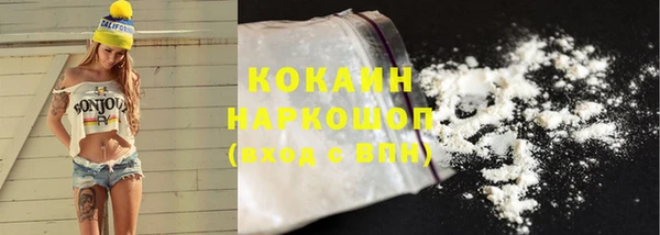 прущие грибы Каменногорск