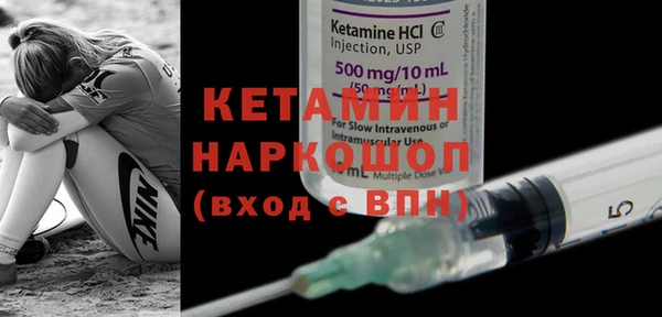 прущие грибы Каменногорск