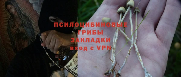 гидропоника Каменск-Шахтинский