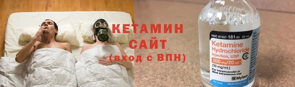 прущие грибы Каменногорск