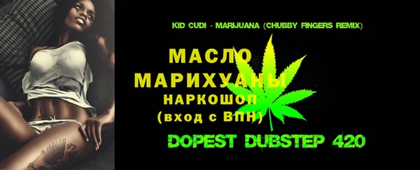прущие грибы Каменногорск