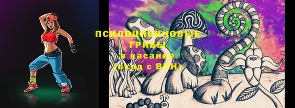 прущие грибы Каменногорск