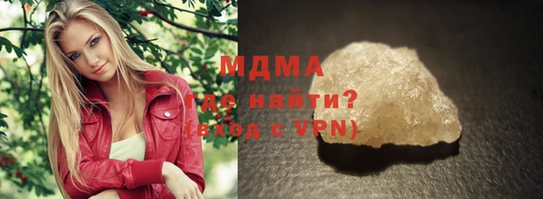 прущие грибы Каменногорск