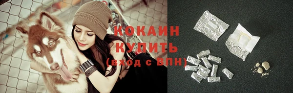 прущие грибы Каменногорск