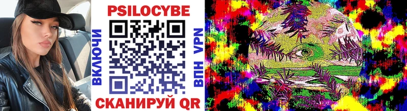 Псилоцибиновые грибы Cubensis  Купить закладки  Бологое 